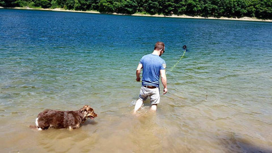 So wird dein Hund zur echten Wasserrakete – Badespaß für heiße Tage