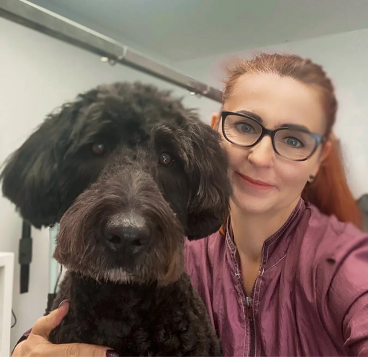 Fellpflege beim Hund – So bleibt das Hundefell gesund und glänzend