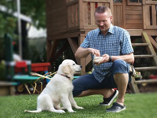 Apportieren mit dem Preydummy (Teil 4)