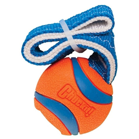 Chuckit Ultra Schlepper