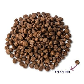 Renske Super Premium Welpe Huhn / Lamm