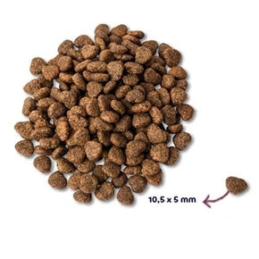 Renske Super Premium Adult Huhn Getreidefrei Hypoallergen