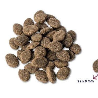 Renske Super Premium Adult Lamb Getreidefrei Hypoallergen