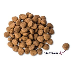 Renske Super Premium Erwachsene Pute/Ente