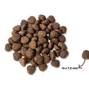 Renske Super Premium Adult Lachs Getreidefrei Hypoallergen