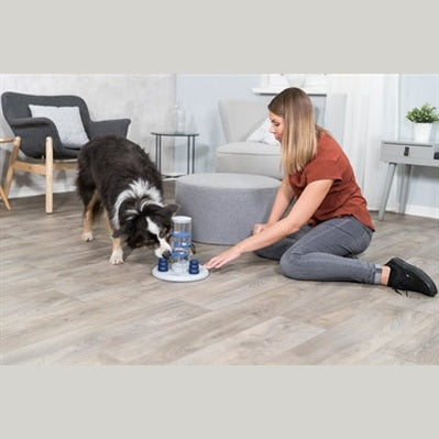 Trixie-Hund-Aktivität Spielturm