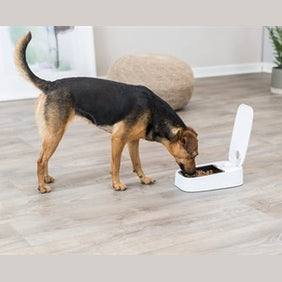 Trixie Automatischer Futterspender Trixie Tx1