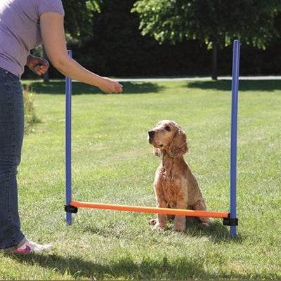 Trixie-Hund Aktivität Agility-Horde Blau / Orange