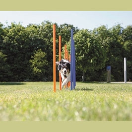 Trixie Hund Aktivität Agility Slalom Stöcke Blau / Orange