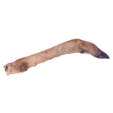 Petsnack Hirschkeule Mit Haar