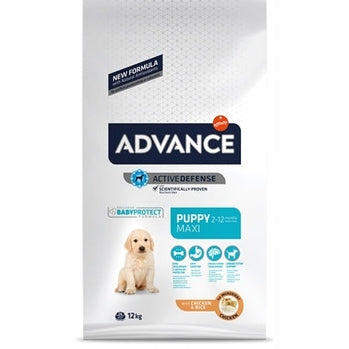 Advance Voraus Welpe Schützen Maxi