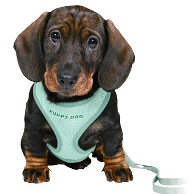 Trixie Junior Welpengeschirr Weich Mit Gurt Mintgrün