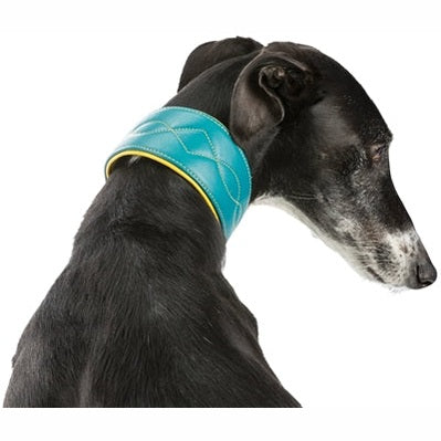 Trixie Hundehalsband Active Comfort Für Windhunde Leder Petrol