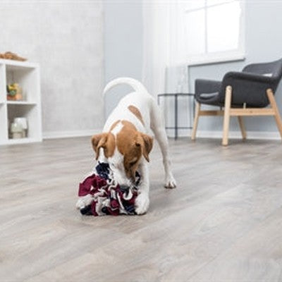 Trixie Hund Aktivität Schnüffelball