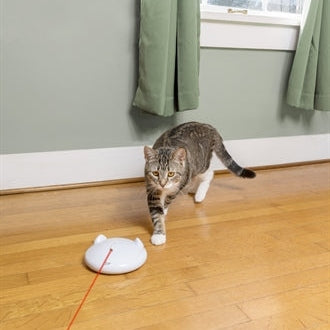 Petsafe Zip
