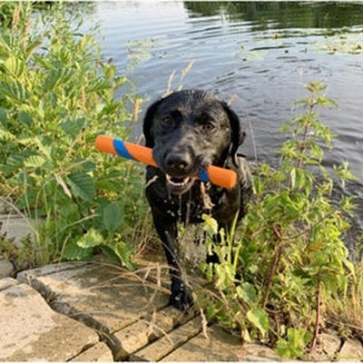 Chuckit Ultra Fetch Stick