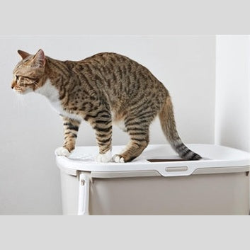 Savic Katzentoilette Hop In Weiss / Mokka