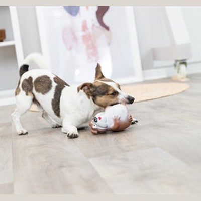 Trixie Hund Latex Sortiert
