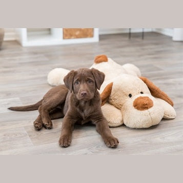 Trixie Kuschelhund Benny Plüsch Beige / Braun
