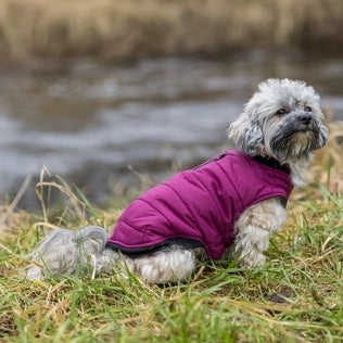 Trixie Hundemantel Arlay Berry