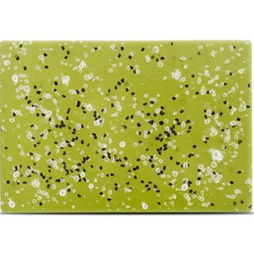 Beloved Bugfree Pet Shampoo Bar