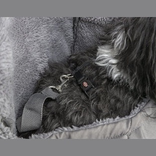 Trixie Hund Tasche Bauch Träger Molly Grau