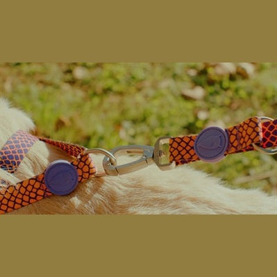 Morso Hundeleine Verstellbar Recycelt Urban Lizard Rot