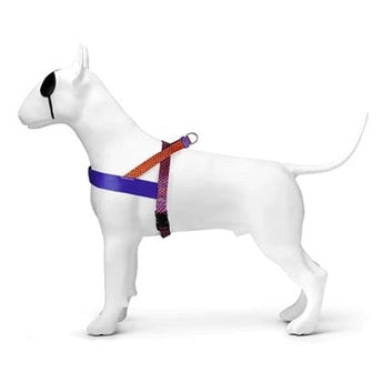 Morso Norwegisches Hundegeschirr Recycelt Urban Lizard Rot