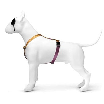 Morso Hundegeschirr H-Rig Recycelt Dschungel Trommel Orange