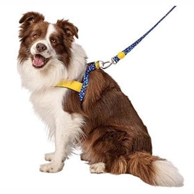 Morso Norwegisches Hundegeschirr Recycelte Farbe Invasoren Lila