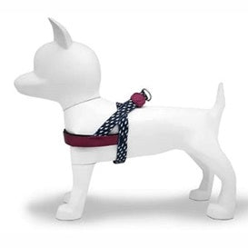 Morso Norwegisches Hundegeschirr Recycelt Power Flow Schwarz