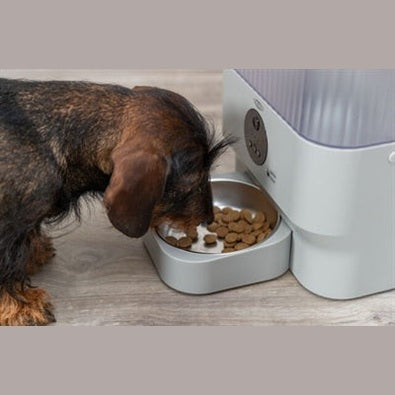 Trixie Futterspender Tx-C Smart Hellgrau