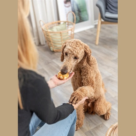 Trixie Collagen Denta Fun Twists Mit Huhn