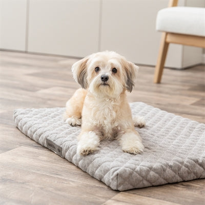 Trixie Hundekissen Noah Vital Hellgrau
