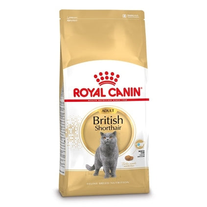 Royal Canin Britisch Kurzhaar