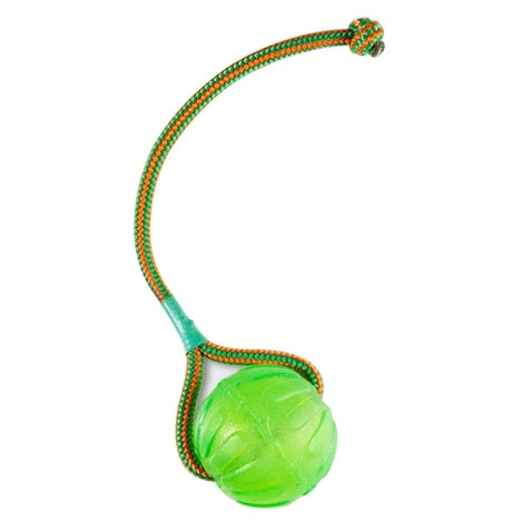 Starmark Swing 'N Fling Kau-Ball An Schnur