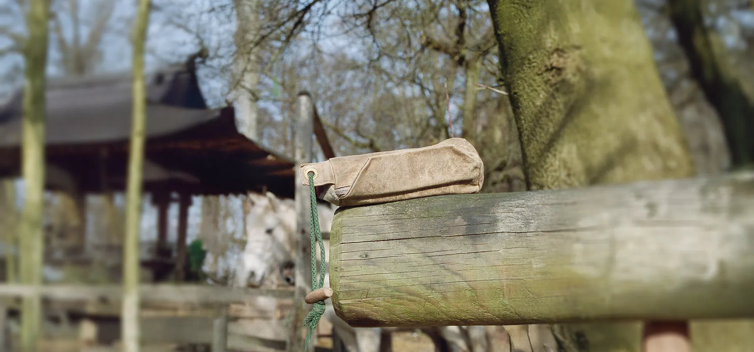 Apportierfreude auf vier Pfoten – Dummys & Trainingstools für deinen Hund