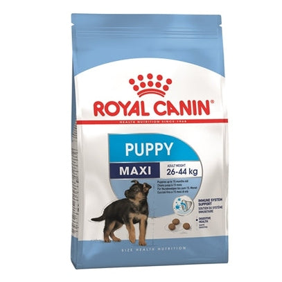 Royal Canin Königlicher Canin-Maxi-Welpe