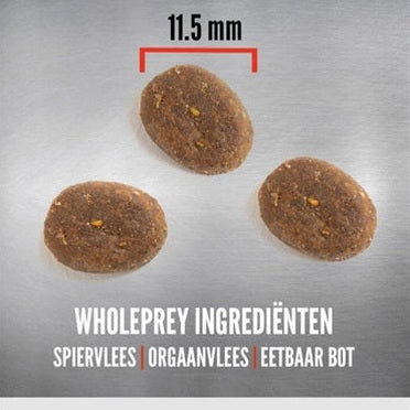 Orijen Ganze Beute Welpe