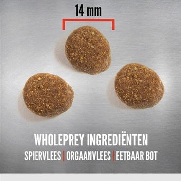 Orijen Ganze Beute Welpe Grosse Rasse