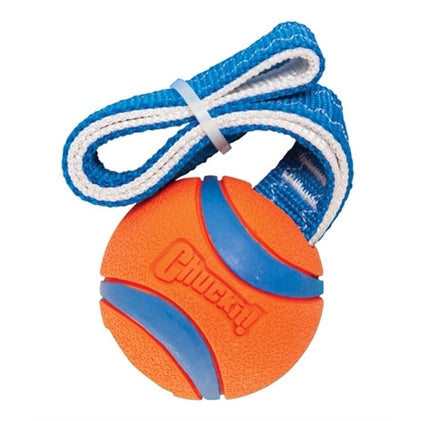 Chuckit Ultra Schlepper