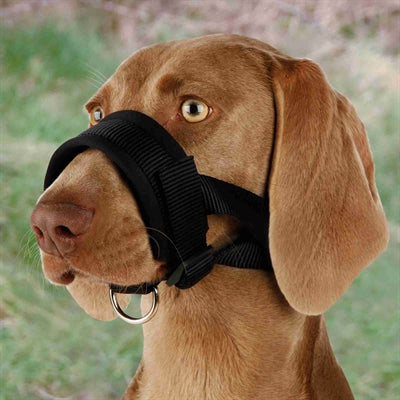 Trixie Mündung Nylon Schwarz