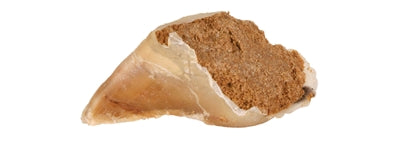 Trixie Mit Füllung 115 G