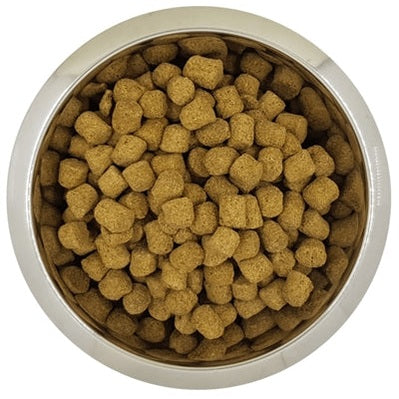 Yourdog König Pudel Senior