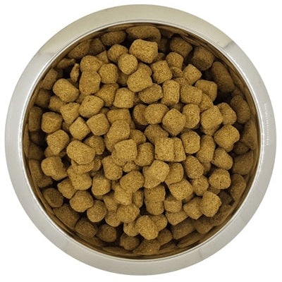 Yourdog Königspudel Erwachsen