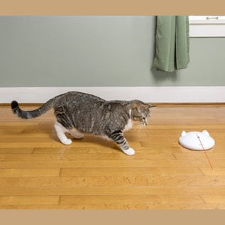 Petsafe Zip