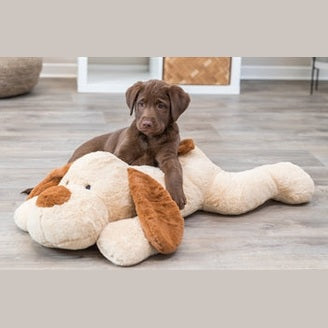 Trixie Kuschelhund Benny Plüsch Beige / Braun