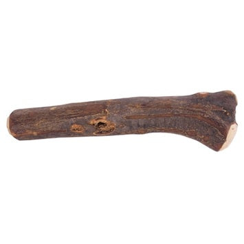 Dog Woodzzz Olivenholz
