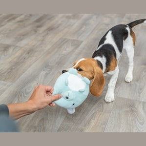 Trixie Plüschbär Mintgrün Für Welpe