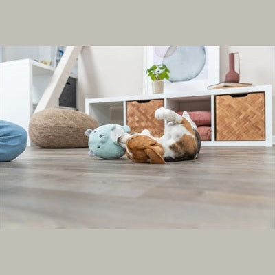 Trixie Plüschbär Mintgrün Für Welpe